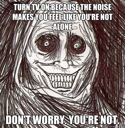 Turn tv on because the noise makes you feel like you're not alone Don't worry. You're not. - Turn tv on because the noise makes you feel like you're not alone Don't worry. You're not.  Horrifying House Guest