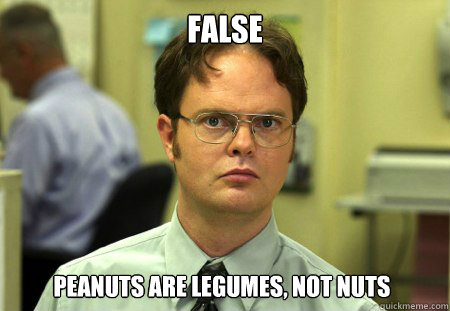 False peanuts are legumes, not nuts  Dwight