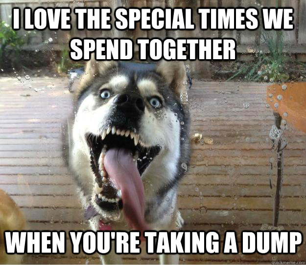 I love the special times we spend together When you're taking a dump - I love the special times we spend together When you're taking a dump  Overly Attached Dog