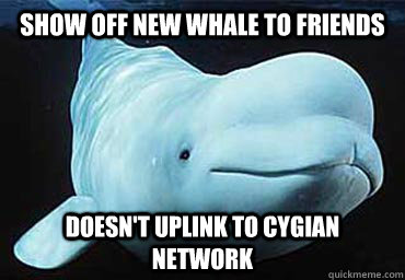 Show off new whale to friends Doesn't Uplink to Cygian network - Show off new whale to friends Doesn't Uplink to Cygian network  Misbehavin Pocket Whale