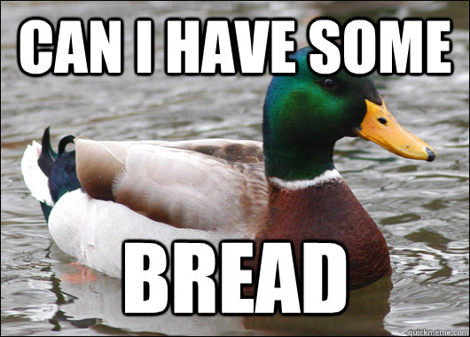 can i have some bread  Actual Advice Mallard