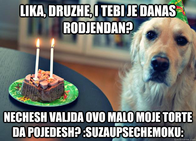 lika, druzhe, i tebi je danas rodjendan? nechesh valjda ovo malo moje torte da pojedesh? :suzaupsechemoku:  Sad Birthday Dog