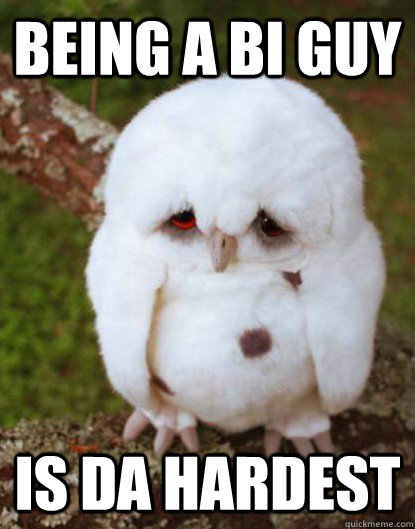 being a bi guy is da hardest  Depressed Owl