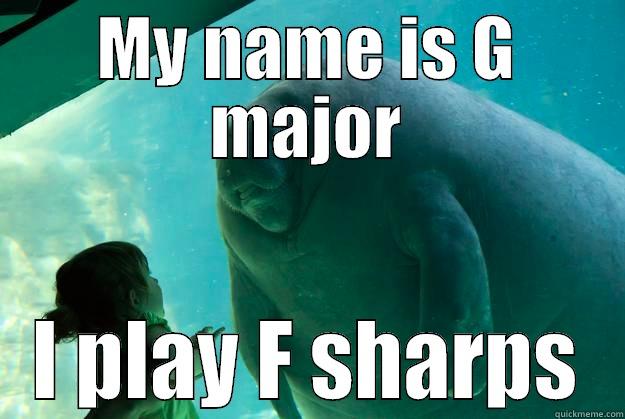 MY NAME IS G MAJOR I PLAY F SHARPS Overlord Manatee