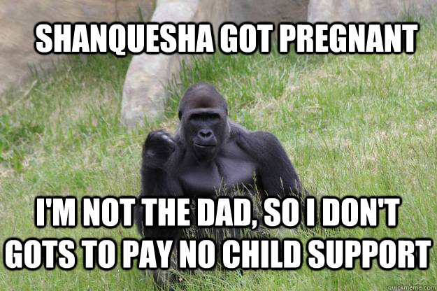 Shanquesha got pregnant I'm not the dad, so I don't gots to pay no child support - Shanquesha got pregnant I'm not the dad, so I don't gots to pay no child support  Misc