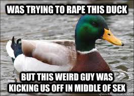 was trying to rape this duck But this weird guy was kicking us off in middle of sex - was trying to rape this duck But this weird guy was kicking us off in middle of sex  Good Advice Duck