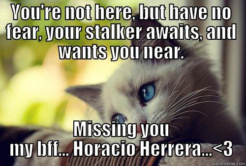 YOU'RE NOT HERE, BUT HAVE NO FEAR, YOUR STALKER AWAITS, AND WANTS YOU NEAR. MISSING YOU MY BFF... HORACIO HERRERA...<3 First World Problems Cat