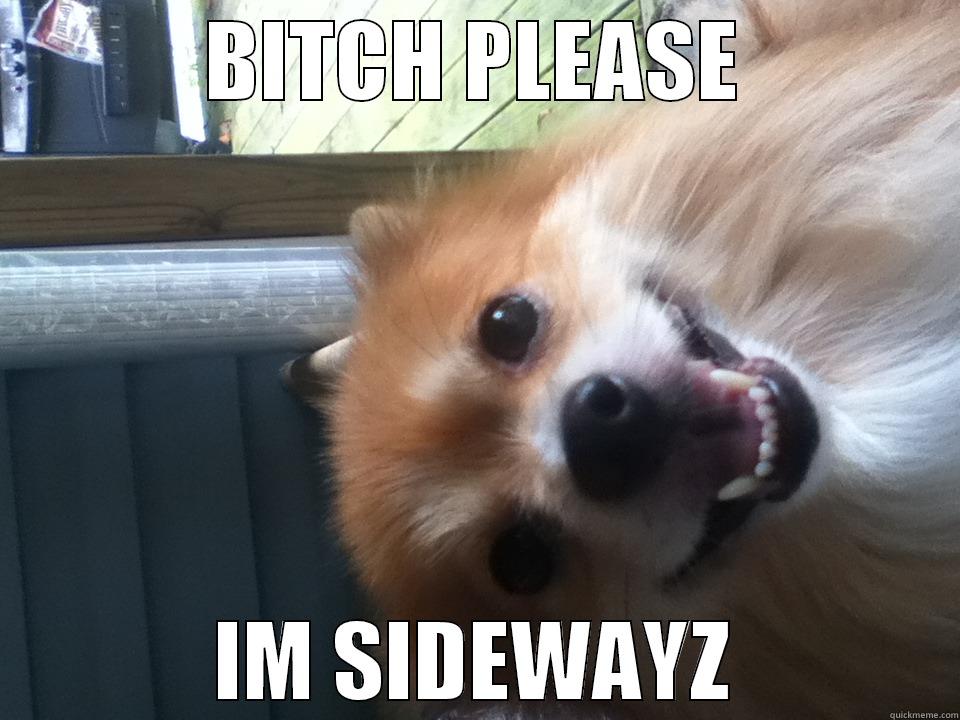 BITCH PLEASE IM SIDEWAYZ Misc