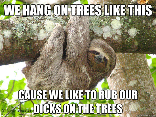 we hang on trees like this cause we like to rub our dicks on the trees  