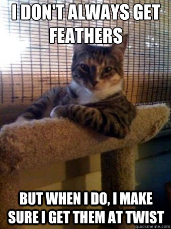 I don't always get feathers but when i do, i make sure I get them at Twist  The Most Interesting Cat in the World