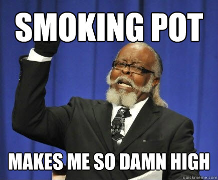 Smoking Pot makes me so damn high  Too Damn High