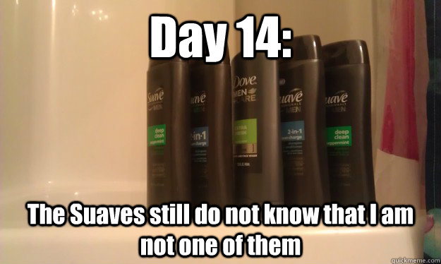 Day 14: The Suaves still do not know that I am not one of them - Day 14: The Suaves still do not know that I am not one of them  Misc