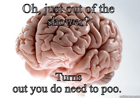 OH, JUST OUT OF THE SHOWER? TURNS OUT YOU DO NEED TO POO.  Scumbag Brain