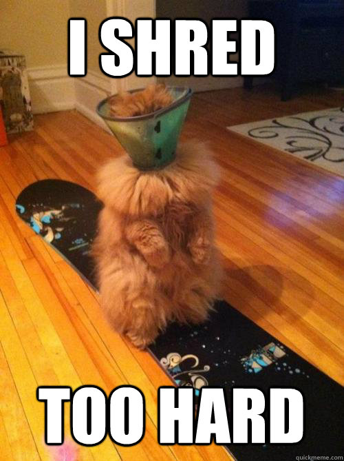 I Shred too hard - I Shred too hard  Crash Cat