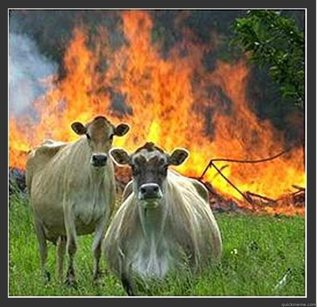 WANNEER JE AAN JE NEEFJES ZEGT BLIJF EVEN ALLEEN THUIS Evil cows