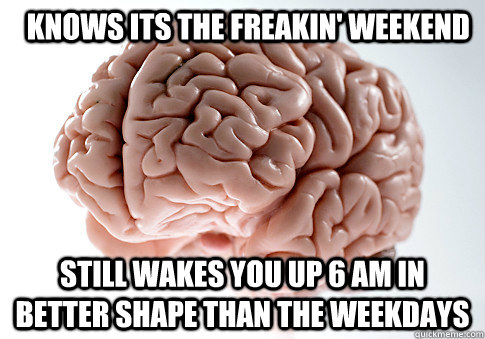  knows its the freakin' weekend still wakes you up 6 AM in better shape than the weekdays  Scumbag Brain