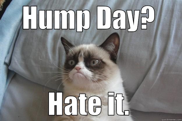 HUMP DAY? HATE IT. Grumpy Cat