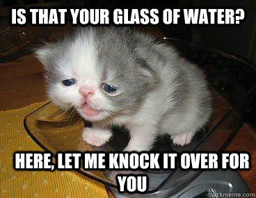 Is that your glass of water? Here, let me knock it over for you  Okay cat