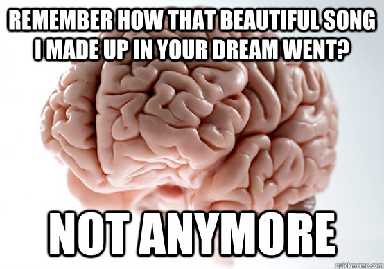 Remember how that beautiful song i made up in your dream went? not anymore  Scumbag brain on life