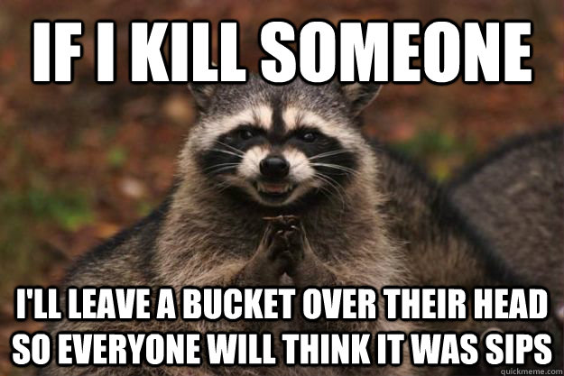 if I kill someone i'll leave a bucket over their head so everyone will think it was Sips  Evil Plotting Raccoon