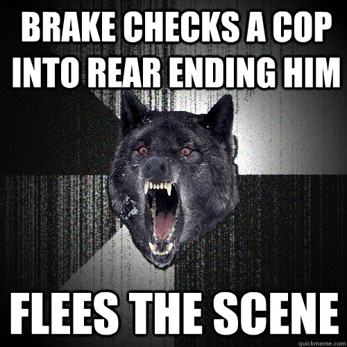 Brake Checks a cop into rear ending him flees the scene  Insanity Wolf