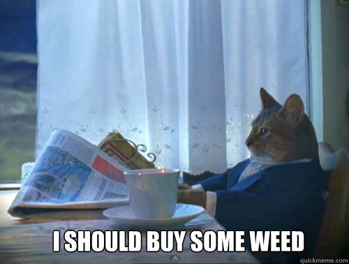  I SHOULD BUY SOME WEED -  I SHOULD BUY SOME WEED  Misc