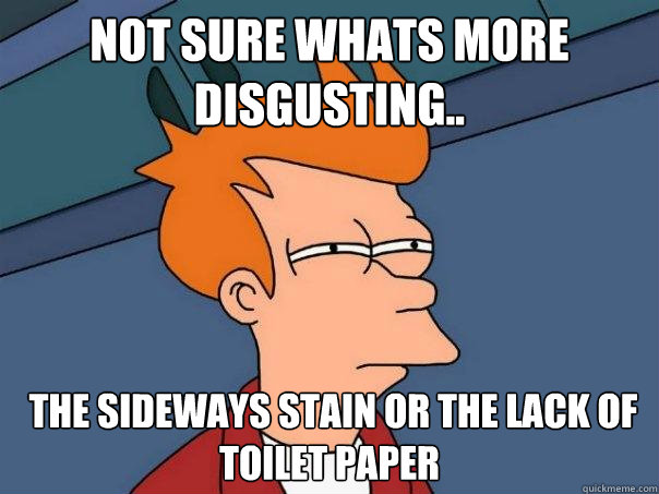 not sure whats more disgusting..  the sideways stain or the lack of toilet paper  Futurama Fry