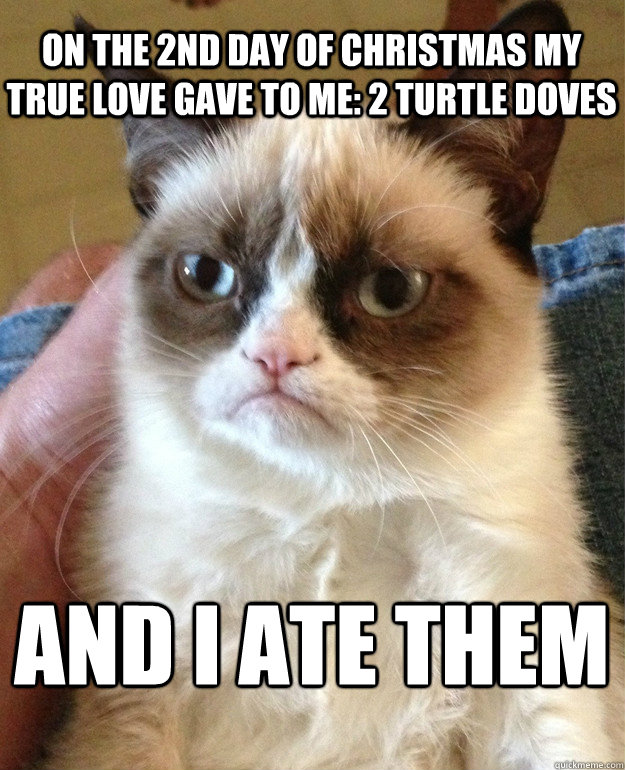 on the 2nd day of christmas my true love gave to me: 2 turtle doves and I ate them  Grumpy Cat