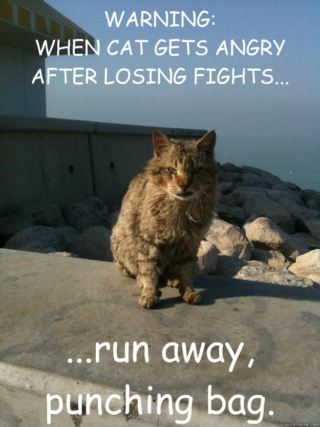 WARNING:
WHEN CAT GETS ANGRY AFTER LOSING FIGHTS... ...run away, punching bag.  Bitter Cat