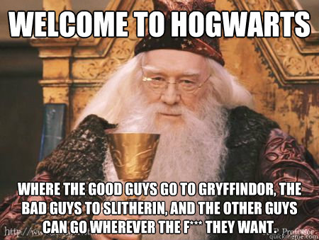 Welcome to Hogwarts Where the good guys go to Gryffindor, the bad guys to Slitherin, and the other guys can go wherever the f*** they want. - Welcome to Hogwarts Where the good guys go to Gryffindor, the bad guys to Slitherin, and the other guys can go wherever the f*** they want.  Drew Dumbledore