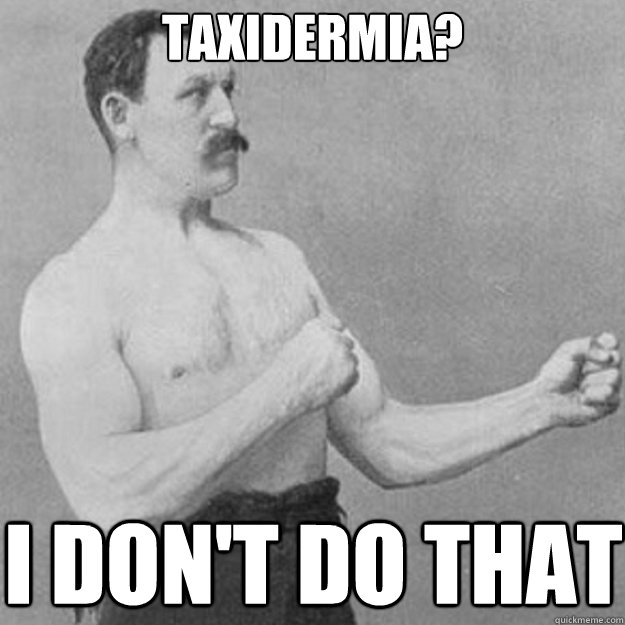 TAXIDERMIA? I DON'T DO THAT  overly manly man