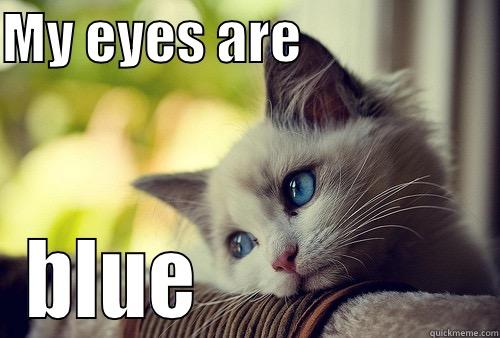 MY EYES ARE                   BLUE                 First World Problems Cat