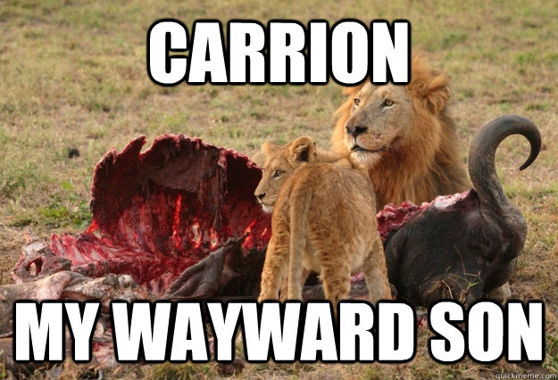 carrion my wayward son  Carrion Lion