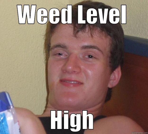 WEED LEVEL HIGH 10 Guy