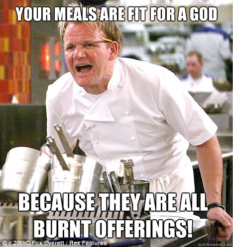 your meals are fit for a god because they are all burnt offerings! - your meals are fit for a god because they are all burnt offerings!  gordon ramsay