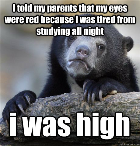 I told my parents that my eyes were red because I was tired from studying all night i was high  Confession Bear