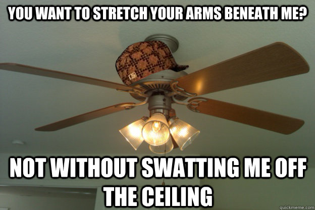 you want to stretch your arms beneath me? Not without swatting me off the ceiling  scumbag ceiling fan