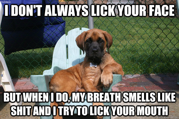 I don't always lick your face but when i do, my breath smells like shit and i try to lick your mouth - I don't always lick your face but when i do, my breath smells like shit and i try to lick your mouth  The Most Interesting Dog in the World