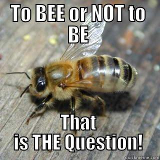 TO BEE OR NOT TO BE THAT IS THE QUESTION! Hivemind bee