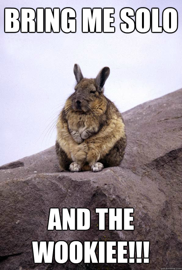 Bring me Solo and the Wookiee!!! - Bring me Solo and the Wookiee!!!  Wise Wondering Viscacha