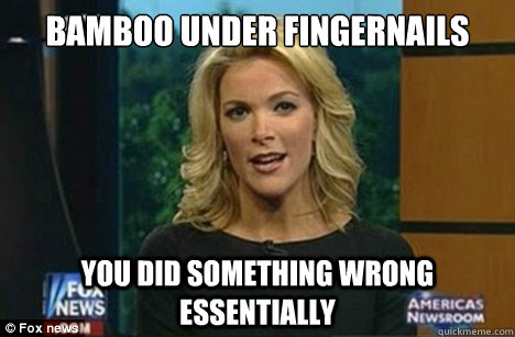 Bamboo Under fingernails you did something wrong essentially - Bamboo Under fingernails you did something wrong essentially  Megyn Kelly