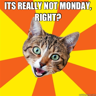 ITS REALLY NOT MONDAY, RIGHT?   Bad Advice Cat