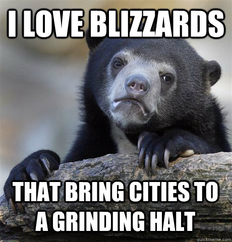 I love blizzards that bring cities to a grinding halt  Confession Bear