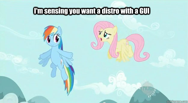 I'm sensing you want a distro with a GUI - I'm sensing you want a distro with a GUI  Finding a Distro