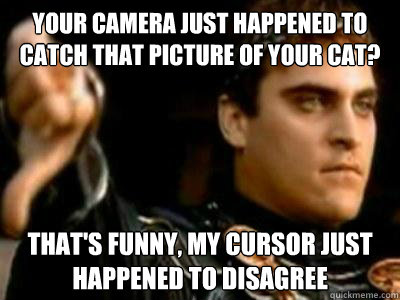 Your camera just happened to catch that picture of your cat? that's funny, my cursor just happened to disagree  Downvoting Roman
