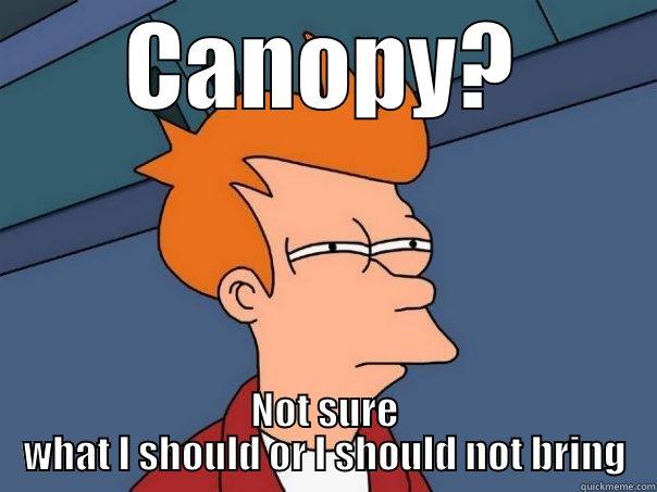 CANOPY? NOT SURE WHAT I SHOULD OR I SHOULD NOT BRING Futurama Fry