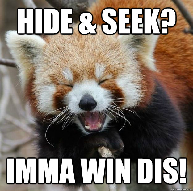 Hide & Seek? Imma win dis!  Red panda