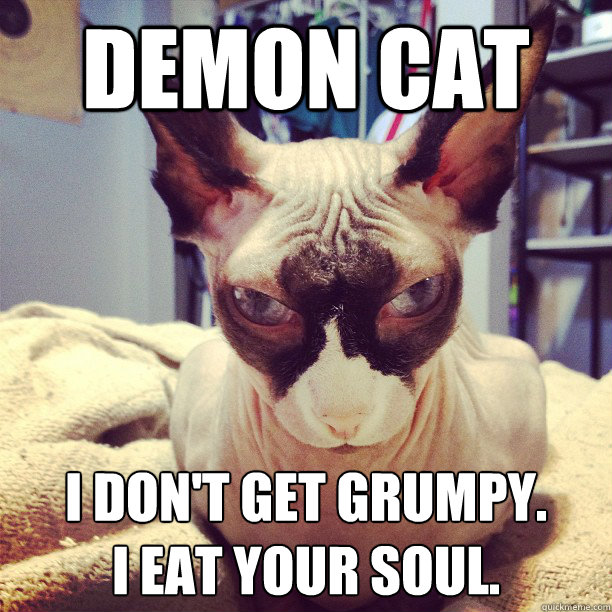 Demon Cat I don't get grumpy. 
I eat your soul.  