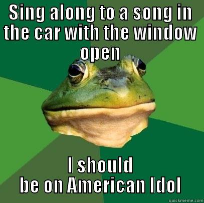 SING ALONG TO A SONG IN THE CAR WITH THE WINDOW OPEN I SHOULD BE ON AMERICAN IDOL Foul Bachelor Frog