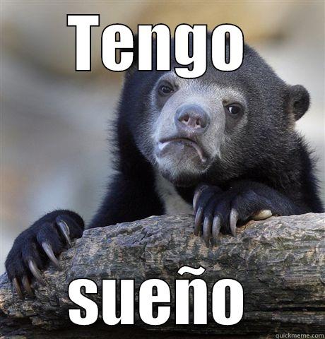 TENGO SUEÑO Confession Bear